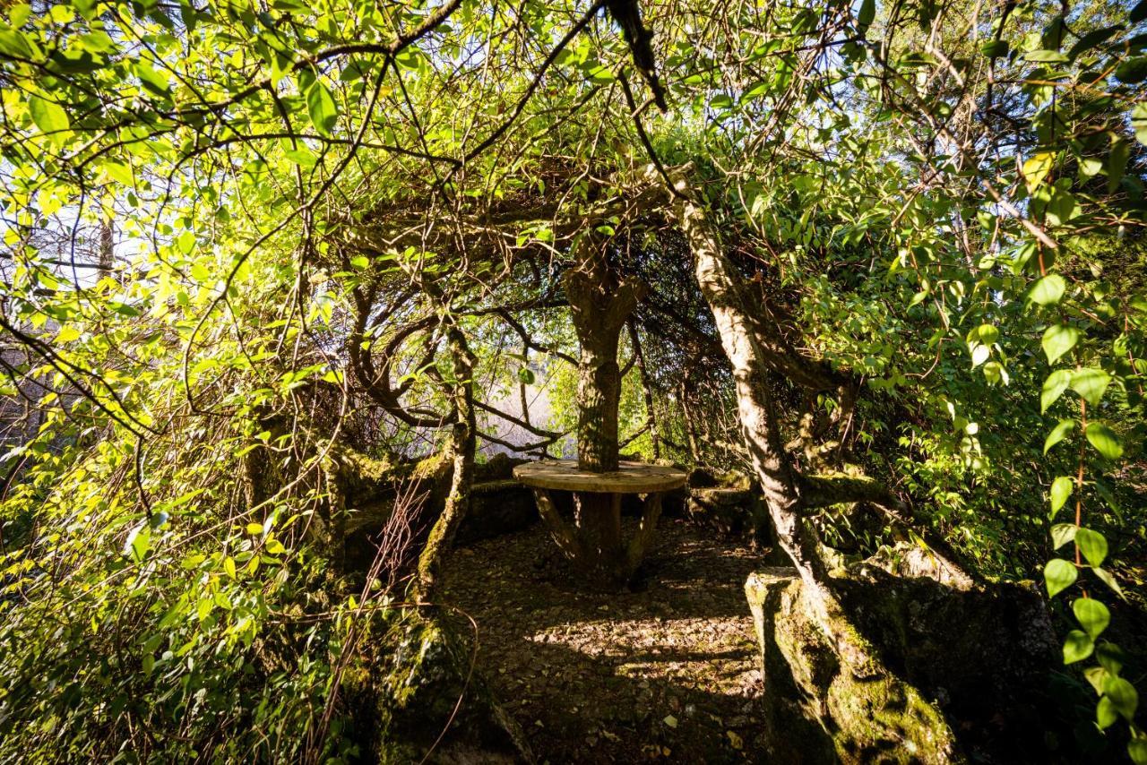 The Grove Houses Hotel Guimarães Eksteriør billede